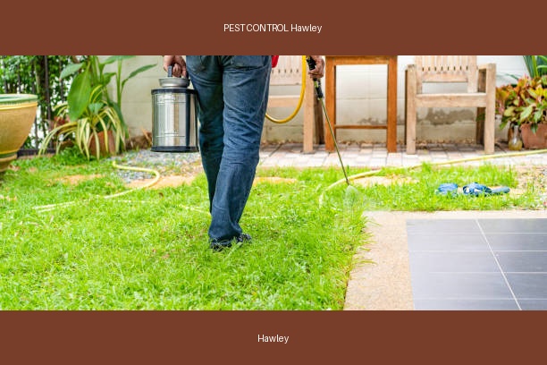 PEST CONTROL Hawley